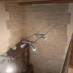 Il Geco 特拉尼